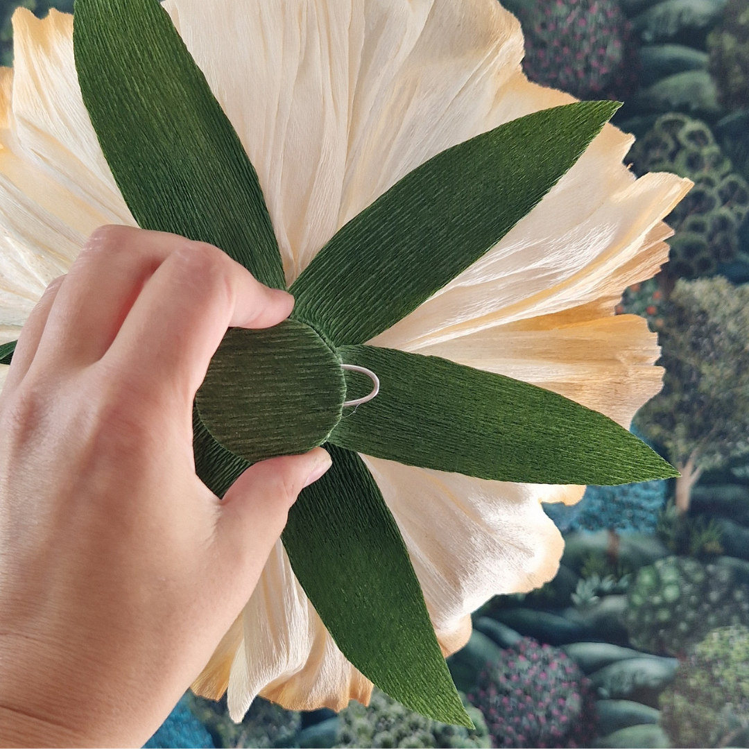 Vægblomst creme / brun