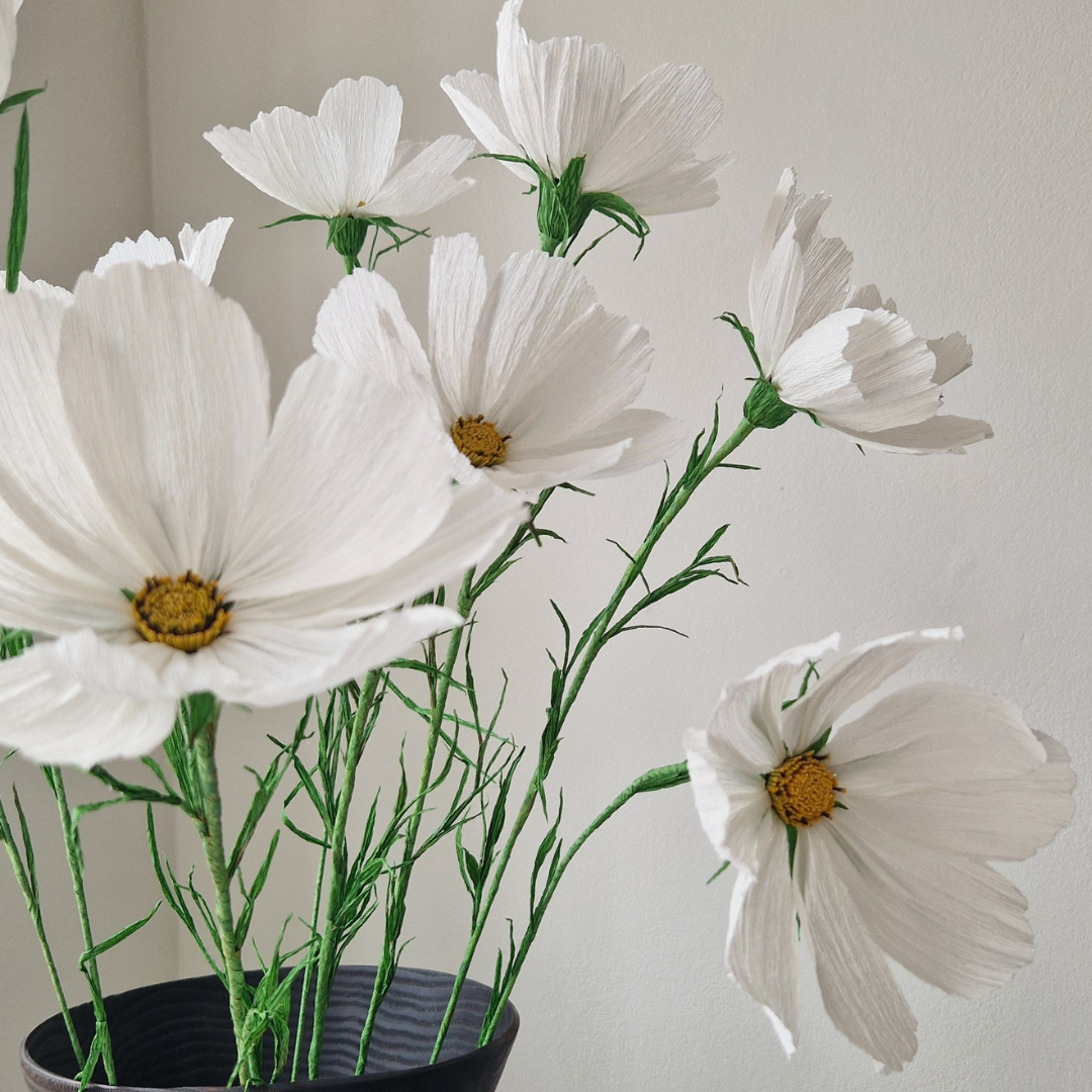 Cosmos