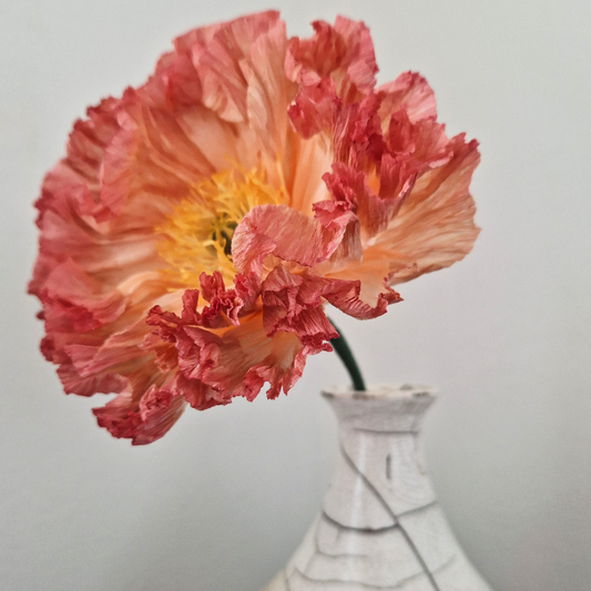 Valmue creme/kaffe